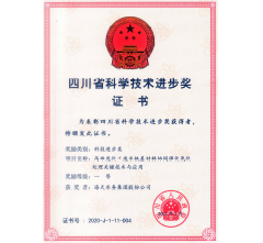 四川省科技进取奖一等奖