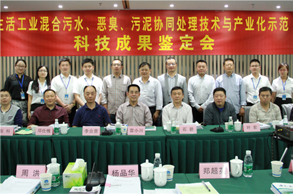 PP王者电子集团科技创新成就顺利通过成就鉴定
